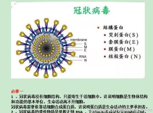 QQ图片20200207212013.png