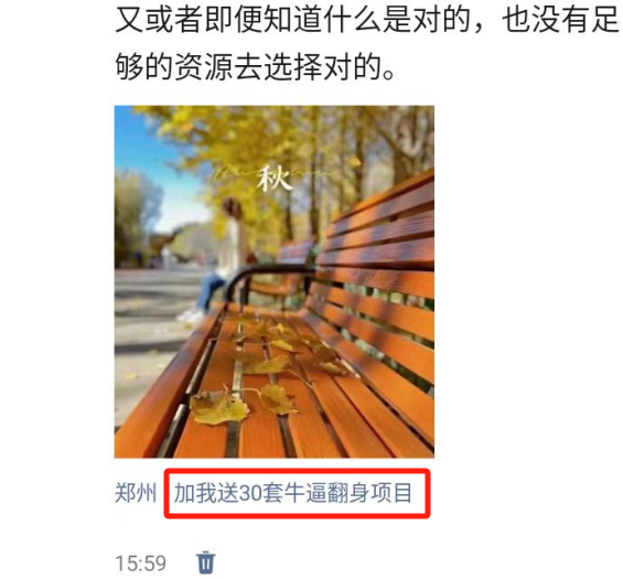 181355ecgp50fb5c7056bb.png