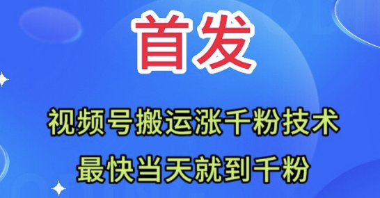 1701572206492.png